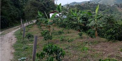 Lote / Terreno de 1800 m2 para vender ubicado en Villamaría, Caldas. Este terreno ofrece una impresionante vista panorámica que se explora desde lo alto de la colina. Está ubicado en una zona campestre, pero está cerca de la zona urbana, al lado de una vía principal. El lugar es ideal para aquellos que quieren aprovechar la tranquilidad del campo pero aún así estar cerca de la vida urbana.

El área privada de 1800 m2 ofrece un gran espacio para un potencial desarrollador. Este lote es una excelente oportunidad para aquellos que buscan invertir en negocios inmobiliarios, ya que está ubicado en una zona que está experimentando una expansión significativa. Además, la ubicación privilegiada es probable que genere una mayor plusvalía y aumente la rentabilidad para los inversionistas.

El lote es la opción ideal para aquellos que buscan construir su casa en un lugar tranquilo, pero con un ambiente que les permita disfrutar de la vida urbana. Esta es una oportunidad única para disfrutar de un lugar único y hermoso, al tiempo que se benefician de la estandarización de los precios inmobiliarios en el sector.

Si está buscando invertir en un lote de gran tamaño en una zona urbana en expansión, este lote / terreno de 1800 m2 es la mejor opción. No pierda la oportunidad de obtener una rentabilidad adicional con una inversión futura..
