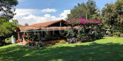 ¡Descubre esta increíble oportunidad de inversión en Marinilla, Antioquia! Se vende una hermosa finca con una espaciosa casa campesina que te ofrece el ambiente perfecto para disfrutar de la vida en el campo. Esta propiedad cuenta con todos los servicios necesarios, incluyendo energía de EPM, aguas residuales servidas a pozo séptico y acceso al acueducto veredal.

Ubicada a solo 12.6 km de Marinilla en dirección al municipio del Peñol, esta finca te brinda la tranquilidad del campo sin alejarte demasiado de la ciudad. Además, está a tan solo 20 minutos de Guatapé, uno de los destinos turísticos más populares de la región.

El entorno de la finca está rodeado de hermosas fincas con pastos mejorados y cultivos de ciclo corto como papa, habichuela y arveja. Es una zona con una fuerte vocación pecuaria y muchas viviendas campesinas, lo que garantiza un ambiente auténtico y tradicional.

Además, esta propiedad cuenta con acceso directo desde Medellín a través de una carretera pavimentada, lo que facilita tus desplazamientos hacia y desde la ciudad.

¡No dejes pasar esta oportunidad de adquirir tu propia finca en Marinilla y disfrutar de la vida en el campo! Se aceptan ofertas, así que contáctanos hoy mismo para obtener más información y programar una visita.