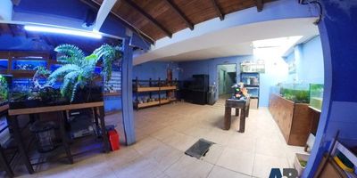 Local disponible para arriendo en El Poblado sobre vía principal, el local cuenta con una altura promedio de 2.5mt2, energía 220, área de almacenamiento en la parte trasera, zona de cargue y descargue o parqueaderos, puerta persiana, espacio ideal para empresas productoras, procesadoras, conversión de materia prima, almacenamiento y demás mercados, gracias a su amplia vitrina con alto tráfico peatonal y vehicular. Contactos 3015989091 - 3176418589