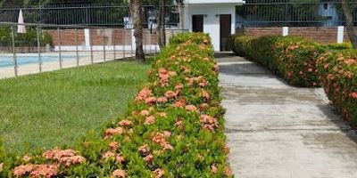 Venta de lotes en el municipio de Ricaurte Cundinamarca,ubicado en conjunto Residencial Campestre las Heliconias a cinco minutos de Girardot ubicado sobre vía principal .El conjunto se encuentra con excelente ubicación justo al lado del Hotel GHL Relax,cerca de supermercados,tiendas Dollarcity y establecimientos de comida .Lotes de 724 M cada lote,es decir 168 M por cada unoconjunto Campestre actualmente con desarrollo urbanístico del cincuenta porciento ,con un máximo a desarrollar de solo setenta viviendas campestres ,El conjunto consta de dos Piscinas ,cancha basquetboll,dos canchas de voleibol,sede social,zona BBQ. Es un conjunto muy campestre ,rodeada de arboles y zonas verdes lo cual permite  que sean casas muy frescas ,realizar caminatas al aire libre