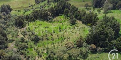 Venta lote a 5 minutos del Aeropuertto Jose María Cordoba ideal para un complejo Hotelero , colegio , zona de bodegaje con una topografia inmejorable , con una vista de 360 grados con una topografia casi plana , tiene un indice de construcción del 20% ideal para soñar  este excelente espacio que conjuga la naturaleza con la hermosa topografia de la zona.
Es muy exclusivo por su cercanía al Aeropuerto y el Tunel .Tiene doble acceso.