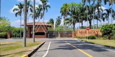 Vivienda campestre unifamiliar ubicada en exclusivo condominio en Cerritos, cerca de colegios, malls comerciales, supermercados y a 15 minutos del aeropuerto. En muy buen estado de conservación, construida en el año 2001 y remodelada en 2023, de un solo nivel, con lote de 2.457m² y área construida de 386 m²sus acabados, pisos en cerámica, sala, comedor, cocina integral con mesón en quartzone con lavaplatos doble en acero inoxidable y con muebles superior e inferior en madecor.

La casa está distribuida así:  hall de acceso, 3 habitaciones cada una con su baño y vestier, habitación del servicio, estar de TV, depósito, generosos pasillos de circulación alrededor de la casa, amplias zonas verdes con árboles frutales. 

El conjunto cuenta con vigilancia las 24 horas, ronderos en las diferentes etapas, zonas sociales, senderos ecológicos, zonas para niños, amplios espacios de esparcimiento y contacto permanente con la naturaleza, todas las vías son pavimentadas, cámaras de seguridad por todo el condominio.