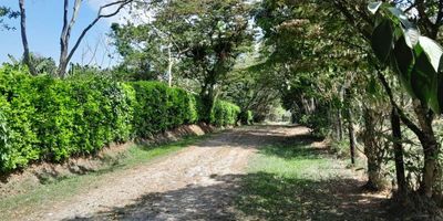 Vendo lote residencial en Papalito Barbosa, acceso por la doble calzada Bello-Niquía, en el sentido hacía Bello, portería 24 horas, rondero, agua y energía, la administración incluye el servicio de agua. Transporte publico cerca a la portería.
Área 19.120 m2 valor $ 956.000.000 - índice de ocupación 10%  2 casas hasta de 2 niveles cada una, topografía semi ondulada, administración $ 524.000.