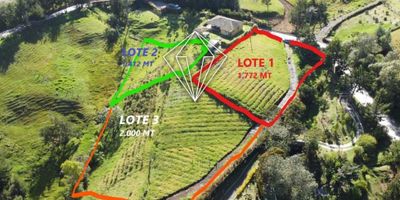 Venta de Lotes en Abejorral

Ubicación: Municipio de Abejorral, a tan solo 45 minutos de La Ceja.

Lote 1:


 Área: 1,772 m²
 Precio: $95,000,000


Lote 2:


 Área: 1,472 m²
 Precio: $75,000,000


Características Destacadas:


 Acceso Fácil: Ubicados al lado de la vía principal, lo que facilita el acceso.
 Recursos Naturales: Cada lote cuenta con un hilo de agua y derecho de acueducto.
 Servicios Públicos: Disponibilidad de energía eléctrica.
 Entorno: Zona muy tranquila y acogedora, con un paisaje hermoso, ideal para construir una casa de veraneo.
 Oportunidad de Inversión: Perfecto para quienes buscan un lugar para desconectar y disfrutar de la naturaleza.


No dudes en contactarnos y descubrir el encanto del Oriente Antioqueño.

GRUPO VABAIT S.A.S

