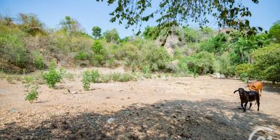 Venta Lote en Santa Fe de Antioquia, Paraje La Isla u Obregón, con un área total 7.102 mt2, terreno irregular.  Este lote cuenta con estudio topográfico, una vista al interior de la parcelación privilegiada por estar situada en una esquina, tiene árboles que proporcionan buena sombra, un lugar tranquilo y seguro, alumbrado público; aquí puedes cumplir tu sueño de construir la casa que quieres en un sector tranquilo, en el que te deleitarás con el aire puro de la naturaleza, este lugar te encantará por su clima y todo lo que rodea esta parcelación, se destaca su ubicación que es cerca al Parque de Santa Fe de Antioquia, un recorrido que puedes disfrutar ejercitando tus piernas a través de una caminata o montada en bicicleta con tu familia y amigos, o si lo deseas en vehículo, ya que su acceso es pavimentado.  Ven a conocer este increíble terreno para que te enamores y te decidas a construir el sueño de veranear o vivir acá.