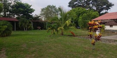 OPORTUNIDAD DE INVERSION. Casa lote con proyecto comercial 8 estaciones de picnic, cocina, baños caballeros, damas, en un lote rodeado de naturaleza y flores para desarrollar tu proyecto de negocio. este lote incluye una casa principal, casa colonial para remodelación. interesante proyecto de negocio para la venta al lado de la vía principal que de Pereira conduce a Alcalá. AGENTE YURI HELENA MORENO 