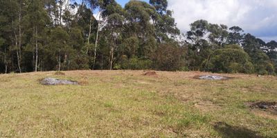 Lote 7.950 mts explanacion de 1300 mts ,esta ubicado 4.5 kilometros de la autopista Medellin - Bogota, de los cuales 4 kilometros son en via pavimentada, lote de suave inclinacion con bosque de  eucaliptos y arboles nativos,nacimineto de agua,pozo septico,acometida de energia electrica y acueducto veredal, paga por impuesto predial $171.000.
Precio negociable, recibe inmueble rentable de menor valor.