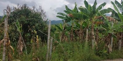 importante oportunidad de inversión 18740m2 con el valor mas económico del sector y la proyección es de alta valorización, lote con topografía mixta, agua natural, arboles frutales. tipo de negocio se recibe permuta al 50 apartamento o vehículo. AGENTE YURI HELENA MORENO  