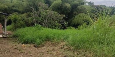 Espectacular finca para descanso con 250 mt2 construidos y cultivos 11500m2 para desarrollar un gran proyecto, cuenta con arboles frutales, quebrada, todos los servicios. a 5 minutos del crucero de Combia con excelente acceso. tipo de negocio se recibe permuta al 50 porciento. AGENTE YURI HELENA MORENO 