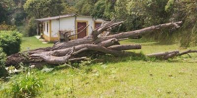 Gran finca en la Vereda El Colorado, en Guarne, finca con grandes corredores y gran terreno para ampliación. El terreno mide 6886 mt² aproximadamente y la casa tiene 70 mt² construidos. 
Comodidades de la casa: sala comedor, cocina tradicional, 4 alcobas, 1 baños, zona de ropas y el piso en cemento liso. Terreno plano con amplias zonas verdes a sus alrededores y espacio para parquear varios vehículos. Posee nacimiento de agua, pozo séptico y los servicios son con Epm. ¡Es tu gran oportunidad para reformar, construir a tu gusto y vivir en un espectacular campo campestre, libre de contaminación! NOTA: La propiedad se vende como Proindiviso
