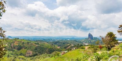 Makai Condominio Campestre en Guatapé Vereda la Peña, con la mejor vista a la Piedra y el embalse,  con un área superior a los 120.000m2 para una capacidad de 48 lotes es un Lugar ideal para descansar, compartir en familia, relajarse, meditar, practicar deportes o simplemente perderse en la espectacular vista que nos aporta este paisaje. Un lugar ubicado en un municipio lleno de colores, tradiciones y paisajes que acogen un sin número de extranjeros y turistas en general que quieren vivir esta experiencia única.  Hoy día, Guatapé es uno de los municipios más sonados de Antioquia incluso a nivel mundial es reconocido por sus atractivos en turismo religioso, agroturismo, ecoturismo y deportes de aventura. Cuenta con hoteles, restaurantes, barcos, lanchas y sitios turísticos para disfrutar, contemplar, meditar y descansar. Makai Condominio Campestre hace parte de este hermoso Municipio, una montaña ubicada en la Vereda la peña con una vista espectacular a la represa, al peñol y a Guatapé, rodeado de naturaleza cuenta con 48 Lotes en Parcelación como una excelente opción de Inversión en Guatapé  Antioquia. PORTERIA COMODIDADES: Garita o zona de portería Salón Abierto para viviente o reuniones Parqueaderos de Visitantes Puerta eléctrica vehicular.