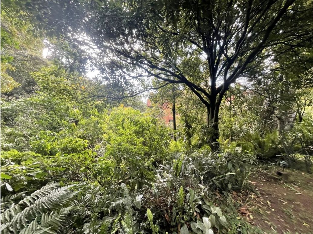 Apartamento de 3 alcobas en venta en Chico Oriental, Bogotá, 360 m² · foto 15 de 16