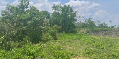 Lote de 3253m2 para venta en Cerritos - Pereira. Excelente divisa, con muy buena vista de zonas verdes, tranquilidad y cómodas vías de acceso. En el lote de se pueden construir varias tipologías de casas a las cuales se les puede hacer algunas modificaciones. Ubicado en zona de gran valorización ideal para tu proyecto de casa.