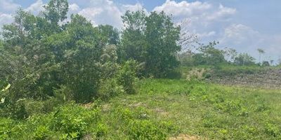 Lote de 2621m2 para venta en Cerritos - Pereira. Excelente divisa, con muy buena vista de zonas verdes, tranquilidad y cómodas vías de acceso. En el lote de se pueden construir varias tipologías de casas a las cuales se les puede hacer algunas modificaciones. Ubicado en zona de gran valorización ideal para tu proyecto de casa.