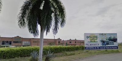 LOTE INDUSTRIAL, 3000 MTS DE LOTE (50X60)
· CONJUNTO PALMASECA PARCELACIÓN INDUSTRIAL, CONTIGUO AL AEROPUERTO PALMIRA (MEDIANERO) 
· TIENE CIMENTACIÓN EN SUPERFICIE DE 1000MTS2.
· ENMALLADO
· VALOR $580.000.000 RECIBO MENOR VALOR BOGOTÁ o CARRO. ESCUCHAMOS OFERTAS