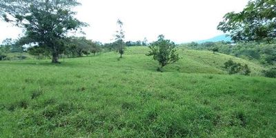 Finca en Venta en el Sector de Tribunas. Cuenta con un área de 102400m2,  cuenta con 2 habitaciones y   baño, se puede usar espacialmente para ganado, cultivos y relacionados. Está en un sector con cómodas vías de acceso, cerca a transporte público, es una zona de alta valorización por lo que cuenta con permiso para construir.