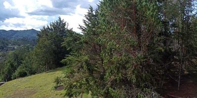 Codigo 24643. Apartaestudio en venta ubicado en El Retiro Vía Don Diego - La FeHermoso apartaestudio para la venta o para el arriendo canon $2.300.000 mensual, en excelente estado como nuevo, buena mobilidad en sector de alta valorización y desarrollo, sitio tranquilo, arborizado, excelente vecindarioValor administración: $290.000Valor predial: $1.000.000 anualVías de acceso como: Principal hacia El Retiro, La Ceja, Llanogrande, Aeropuerto Internacional Jose Maria Córdova, Rionegro y a 35 minutos de Medellín.Ubicación estratégica cerca a todo; Bancos, Clínicas, Iglesias, Colegios, Restaurantes, Supermercados o Tiendas de abastecimiento, Malls y Centros Comerciales.Descripción general: 1 habitación con vestier y baño, 1 baño social, Salon - comedor, Cocina abierta integral, Zona de ropas, Balcón, Parqueadero sencillo, Cuarto útil, Red de gas y servicios públicos.En unidad cerrada con Portería 24 horas, Parque infantil, Zona de bbq, Zonas verdes y Parqueadero de visitantes.