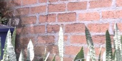 Busca una casa en arriendo en Sabaneta? Conozca esta cómoda propiedad en el sector Vereda La Doctora, Antioquia. Esta casa de 200 m² se distribuye en 2 niveles, ofreciendo 4 habitaciones y 6 baños, proporcionando amplitud y funcionalidad. Dispone de 1 parqueadero. Con una antigüedad de solo 1 año, disfrute de un espacio reciente en estrato 3. El canon de arriendo para esta casa en Sabaneta es de $4.500.000. Una excelente opción de alquiler en una zona tranquila. Para conocer más de esta casa en Vereda La Doctora, contáctenos vía WhatsApp, pida que le contactemos o vea nuestros teléfonos. Estaremos atentos a su consulta.