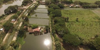 Finca  pisicola de 13 hectareas ,tiene construida casa campestre prefabricada  Antisisismica de 200 mt2   que  consta de sala comedor,  cocina ,4 cuartos, 3 baños , zona de oficios, terraza, deposito. Tiene 51.000 mt2  de espejo de agua ,20 lagos de pesca, bordeado por un distrito de riego ,estacion de bombeo,equipo para produccion  de peces.