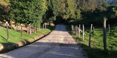 Vivir en el campo, rodeado de naturaleza, bosque nativo, aire puro sin la contaminación de la ciudad, con las comodidades y servicios de una ciudad metropolitana Casa-quinta ubicada en exclusiva agrupación, con portería 24 horas, casa con área construida de 200 M2 y área del terreno de 35.000 M2,  zona bar y sala de televisión, pisos en madera laminada y porcelanato acabados de estrato 6. Amplias zonas verdes, zona de BBQ, estufa de leña, asador y horno de barro para amasijos. Casa del cuidandero independiente con área de 80 M2. Árboles frutales y terreno para cultivo dentro del mismo lote Está ubicado a 2.6 Km de la  doble calzada Zipaquirá-Ubaté a 13 Km del perímetro urbano de Cogua, cerca de sitios turísticos de la sabana de Bogotá.