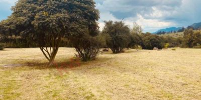 Codigo 5950. VENDO LOTE MACADAMIA DEL RIO LA CALERAVendo grandioso lote con vista panorámica al valle de sopo y a la cordillera.1.727 M2 para construir la casa de tus sueños.Vive en la tranquilidad del campo con las comodidades de la ciudad a 25 minutos ingresando a Bogotá por la circunvalar con 85.Vía renovada y amplia.Cerca de colegios jardines iglesias y demás puntos de interés.A 30 minutos de la circunvalar en la comodidad de la ciudad y la tranquilidad del campo.Conjunto campestre.Campo de golf 9 hoyosZona hípica con 60 caballerizas y 2 picaderosClub house. Zona húmeda, salón y restaurante.2 canchas de tenisJuegos de niños