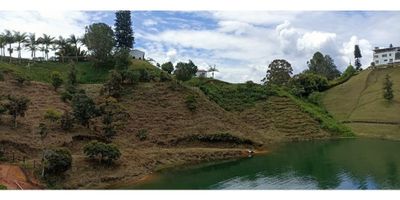 Lote en venta en sector de alta valorización en el municipio del Peñol.

Este terreno es una excelente oportunidad para aquellos que desean invertir en un lugar con hermosas vistas, tranquilidad y potencial de desarrollo.

El lote en cuestión se encuentra ubicado en una zona privilegiada, rodeada de naturaleza y con vistas panorámicas al famoso embalse de El Peñol-Guatapé. Tiene un tamaño ideal para construir la casa de tus sueños, contar con amplias zonas verdes, construir una piscina o incluso establecer un proyecto turístico.

El municipio de El Peñol ofrece una gran variedad de actividades y atractivos turísticos. Podrás disfrutar de paseos en lancha por el embalse, practicar deportes acuáticos, visitar la famosa piedra del Peñol, explorar el malecón de Guatapé con sus coloridas casas y disfrutar de la gastronomía típica de la región.

Además, esta área cuenta con acceso a servicios básicos como agua y electricidad, lo que facilita la construcción y desarrollo de tu proyecto. También cuenta con vías de acceso cercanas que te permiten desplazarte fácilmente hacia otras ciudades y municipios de Antioquia.

Si estás interesado en este lote en venta en El Peñol, Antioquia, no dudes en contactarme. Estoy aquí para proporcionarte más detalles, agendar una visita al lugar o responder cualquier otra pregunta que puedas tener.

¡Espero poder asistirte en encontrar el lote ideal para tus planes en El Peñol, Antioquia!
 
