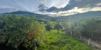 Codigo 12742. Lote rural en La Calera disponible para inversión. Este terreno de 10.936 m2 posee una ubicación estratégica, a tan solo 200 metros de la vía principal (Sopo-La Calera) y a un cómodo trayecto de 40 minutos desde la 85 con Circunvalar. Su proximidad al prestigioso conjunto vivienda de La Calera, conocido por su alta valorización, añade un atractivo adicional a esta propiedad. No pierda la oportunidad de adquirir este lote y aprovechar su potencial de crecimiento.