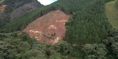 Finca con gran terreno de 12 hectareas

Está ubicada en una zona privilegiada de Mesopotamia, Antioquia. Una extensión espléndida rodeada de áreas turísticas, un pequeño bosque nativo, un mirador a la montaña, un pozo de agua natural y a su alcance el río Buey. También cuenta con una zona campestre y zonas verdes. Estamos hablado de una combinación perfecta por un lado la tranquilidad del campo, junto con la maravilla de la naturaleza y de los paisajes de la región.

Esta finca le brindará apropiación espiritual, otorgándole la posibilidad de construir su perfecto hogar, desarrollar proyectos inmobiliarios o emprendimientos turísticos, tener caballos, vacas, cerdos, gallinas y debidamente acondicionada de acuerdo a sus expectativas. Esta opción le otorga diversidad de opciones para aprovechar este gran espacio de naturaleza, manteniendo sus condiciones intactas.

No hay mejor elección para establecer un hogar, explotar agricolamente el terreno o simplemente volverse un apasionado de la naturaleza. Esta finca que combina la belleza de la naturaleza con la increíble cultura del lugar. Ven a conocerla y descubre el lugar maravilloso al cual puedes pertenecer.

 

Esta finca cuenta con 12 hectáreas, 6 de ellas sembradas en pino (7.000 arboles) patula listo para cortar; con 9 años de sembrados, cuenta con los permisos de Cornare y puede ser 100% comercializado.

La madera es una excelente inversión, aprovecha esta oportunidad para tu futuro y el de tus hijos. Mi nombre es Julián Restrepo y quiero ayudarte a cumplir tus sueños
