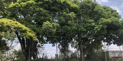 Espectacular lote con topografia pendiente minima rectangular cuenta con servios publicos : energia electrica,acueducto,alcantarillado y gas domiciliario.  En el sector en que se encuentra hay vias pavimentadas es vehicular, tuvo una construccion. Informes Jm inmobiliaria tel 6610000 cel 3176548054