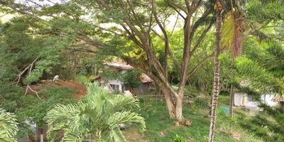 EN UNO DE LOS SITIOS IDEALES PARA EL DESCANSO, EN UN AGRADABLE CLIMA OFRECE UN ENTORNO NATURAL, OFRECEMOS ESTA ESPECTACULAR FINCA A 45 MINUTOS DE CALI Y A 15 MINUTOS DE BUGA, SOBRE 63 HECTAREAS Y 99 PLAZAS, CASA PRINCIPAL DE 6 HABITACIONES, 3 BAÑOS, AMPLIOS ESPACIO, COCINA, BALCÓN Y CASA PARA MAYORDOMO, TIENE SERVIDUMBRE CON ECOPETROL PAGAN CADA 10 AÑOS, POTREROS, TOPOGRAFÍA PLANA Y ONDULADA. MAS INFORMES JM INMOBILIARIA PBX 6610000 CELULAR 3162536464 - 3009121380. CÓDIGO WEB 8605.