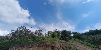 Se venden lotes desde 1.000 hasta 1.800 metros cuadrados, acceso directo a la carretera de la vereda, cerca al aeropuerto de Bucaramanga solo a 15 min, tiene acceso a luz y agua veredales, son tierras de muy buen cultivo, cuentan ya con cultivo de mandarina y limón y ahuyama.