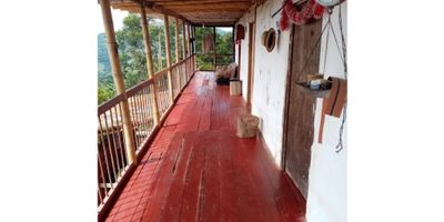 Casa campestre en Neira Caldas con plantación

Oportunidad para disfrutar de 108800 m2 de terreno y 120 m2 privados en dos niveles en estrato 2, con vista panorámica y conexión con la naturaleza. Esta finca unifamiliar combina comodidades modernas con un entorno rural productivo e ideales para emprender proyectos agroindustriales o de recreación.

Descripción de la propiedad

La vivienda cuenta con seis alcobas luminosas y dos baños completos más baño auxiliar en la habitación principal. La despensa y el trastero ofrecen espacio de almacenamiento extra, mientras el balcón y las dobles ventanas proporcionan ventilación e iluminación natural. El galpón y las cocheras para tres vehículos facilitan la logística en la finca.

Descripción del entorno y acceso

El terreno incluye 17 cuadras sembradas de café y plátano y un beneficiadero propio, además de una pesebrera. Los árboles frutales y el jardín se integran con bosques nativos y áreas turísticas. El acceso pavimentado de tosca permite que el carro llegue hasta la casa y está cerca de colegios, universidades, parques y la zona urbana.

Contáctanos

Escríbenos por WhatsApp para agendar tu visita y conocer los detalles de esta finca en Neira Caldas. Nuestro equipo te brindará asesoría cercana y apoyo en cada paso.


 
