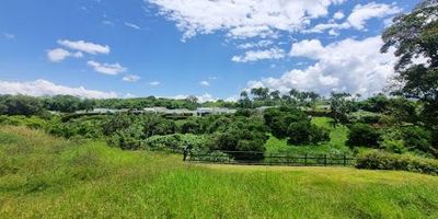 Casa en Venta en el barrio Cerritos de Pereira, Cuenta con un área 234m2, 3 habitaciones, 4 baños, Barra Americana, Sala y Comedor Independientes, Gas Domiciliario, Calentador a Gas, Zona de Ropas, Habitación del Servicio, Terraza, Patio, Cuarto Útil, Estudio, Conjunto Cerrado, Vigilancia, Salon Social, Canchas, Juegos Infantiles, Jardines, Zona BBQ, Shut Basuras, Antejardín,  parqueaderos cubiertos 2, parqueaderos descubiertos 2