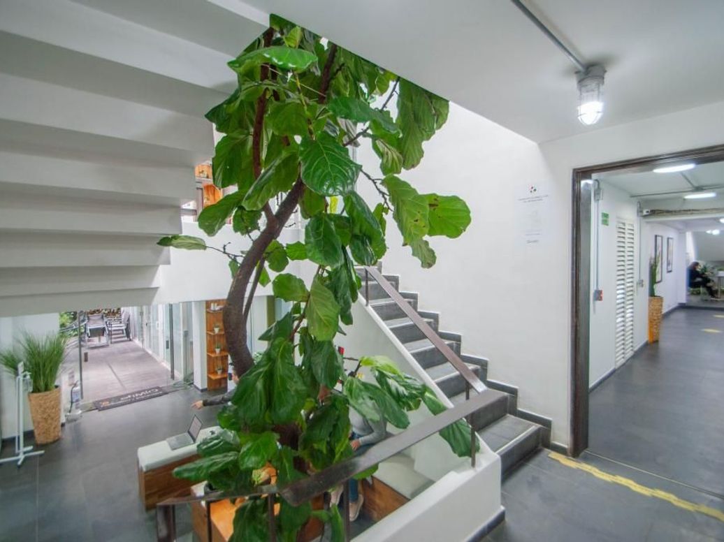 Casa de 15 alcobas en venta en Cerros De Los Alpes, Bogotá, 380 m² · foto 10 de 18