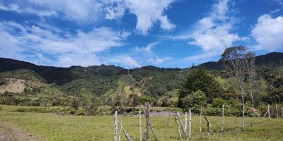 Te presentamos este espectacular lote como oportunidad de inversión en Guatapé. Se trata de un lote de ubicado a tan solo 1 km del pueblo, con un área de 12.800 metros cuadrados, catalogado como semi rural.

Este terreno cuenta con una gran planicie y está cerca de lagos y quebradas, lo que lo convierte en una excelente opción para construir un hotel o establecer un negocio turístico

¡Qué esperas para conocerlo!