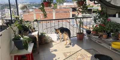 ? Venta Casa con Renta en La Pradera, Villamaría | Casa en Venta

Excelente oportunidad de inversión en La Pradera, Villamaría. Esta propiedad multifamiliar ofrece múltiples posibilidades con dos casas de cuatro niveles cada una y un apartaestudio independiente, lo que la convierte en una opción perfecta para quienes buscan un inmueble con potencial de renta.

? Detalles del Inmueble:


 Propiedad Multifamiliar: 2 casas de 4 niveles cada una y 1 apartaestudio independiente.


Cada casa está distribuida de la siguiente manera:


 Primer Nivel: Sala, cocina semi-integral y baño social.
 Segundo Nivel: 1 alcoba con baño completo.
 Tercer Nivel: 2 alcobas adicionales.
 Cuarto Nivel: Terraza con patio de ropas, ideal para disfrutar de un espacio al aire libre.


Además, la propiedad incluye un apartaestudio independiente que ofrece una opción adicional de renta.

? Oportunidad de Inversión: Esta casa con renta es una opción perfecta para quienes buscan generar ingresos adicionales a través del arriendo de las unidades. Su distribución en niveles proporciona privacidad y funcionalidad, mientras que la terraza y el patio de ropas añaden valor y comodidad.

?️ Ubicación y Comodidades: Ubicada en una zona residencial de La Pradera, Villamaría, esta propiedad ofrece un ambiente tranquilo y seguro, con fácil acceso a servicios y transporte público.

¡No pierdas la oportunidad de adquirir esta versátil propiedad en La Pradera, Villamaría! Contáctanos para más detalles y para agendar una visita.


 
