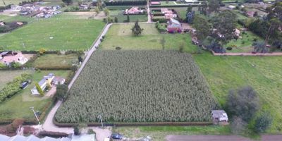 Lote para la venta en Vereda Tiquiza de 6.486 M2 ideal para desarrollar un proyecto de vivienda, terreno totalmente plano, se reciben propiedades como parte de pago.