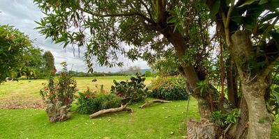 Ofrecemos en venta o permuta por apartamento en cedritos este Hermoso predio ubicado pocos metros del casco urbano de Tenjo, Cundinamarca, cuenta con todos los servicios, tiene un área de 4.272 m2 en donde se encuentra una casa de aproximadamente 65 metros, dos alcobas, cocina abierta, amplia zona social, terraza cubierta para disfrutar el paisaje. Otra casa con una habitación sala comedor cocina y baño.  Arboles frutales, pastos jardines y la comodidad de disfrutar la tranquilidad del campo. cuenta con transporte público y buenas vías de acceso.  