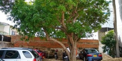 Lote comercial en sector de la salud con frente de 16.80 mts y fondo de 48 mts, actualmente funciona un parqueadero, excelente ubicacion al norte, Barrio Alto Prado.