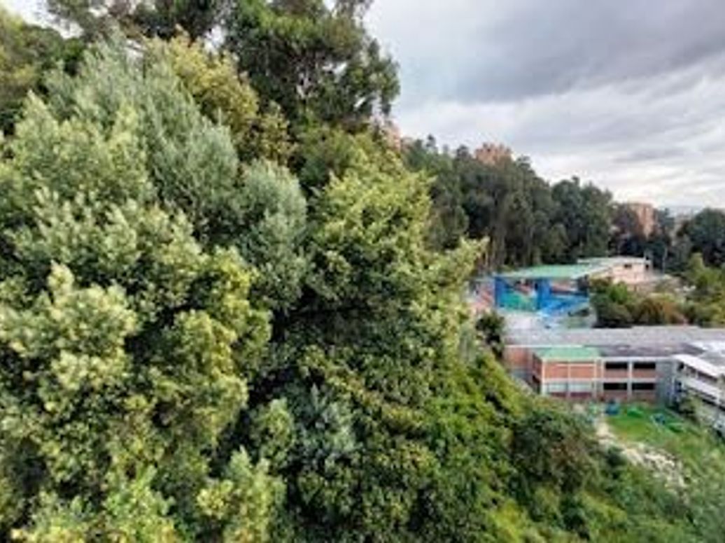 Casa de 3 alcobas en venta en Cedritos, Bogotá, 275 m² · foto 9 de 10