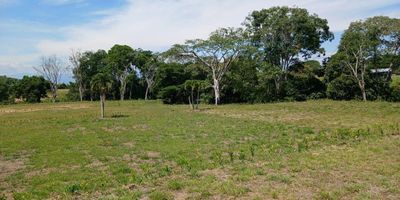 Lote en Venta en unidad cerrada en Cerritos con un área de 2434mt2, lote plano, cuenta ya con servicios agua y energia, con licencia para construir.  La unidad cuenta con porteria y vigilancia las 24 Horas. *Inmuebles sujetos a verificación de disponibilidad.*
