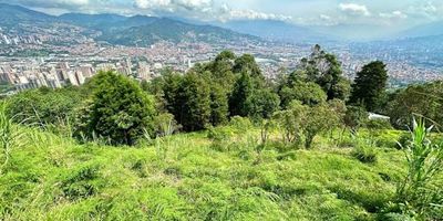 Tenemos el placer de presentarle una exclusiva oportunidad de inversión en el prestigioso sector de Envigado, específicamente en Loma del Barro. Se trata de un impresionante lote en venta con una extensión de 7035 metros cuadrados, diseñado para satisfacer las necesidades y comodidades para tu familia! Área total de 7035 metros cuadrados, ofreciendo un amplio espacio para desarrollar proyectos de alta relevancia y potencial. Ubicación privilegiada en la cotizada zona de Loma del Barro, conocida por su entorno natural y residencial de alta gama, garantizando una alta valorización con una vista inimaginable te todo el valle de aburra de la ciudad de Medellin. 