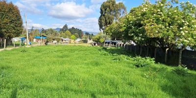 Lote  en sector campestre,  cuenta con un  área 2.886 mts,  cerramiento  en alambre y cerca viva,  rodeado de arboles y naturaleza,  cerca a la iglesia de Fagua. 
tenemos acceso por la carrera novena  o por vereda Tiquiza.
