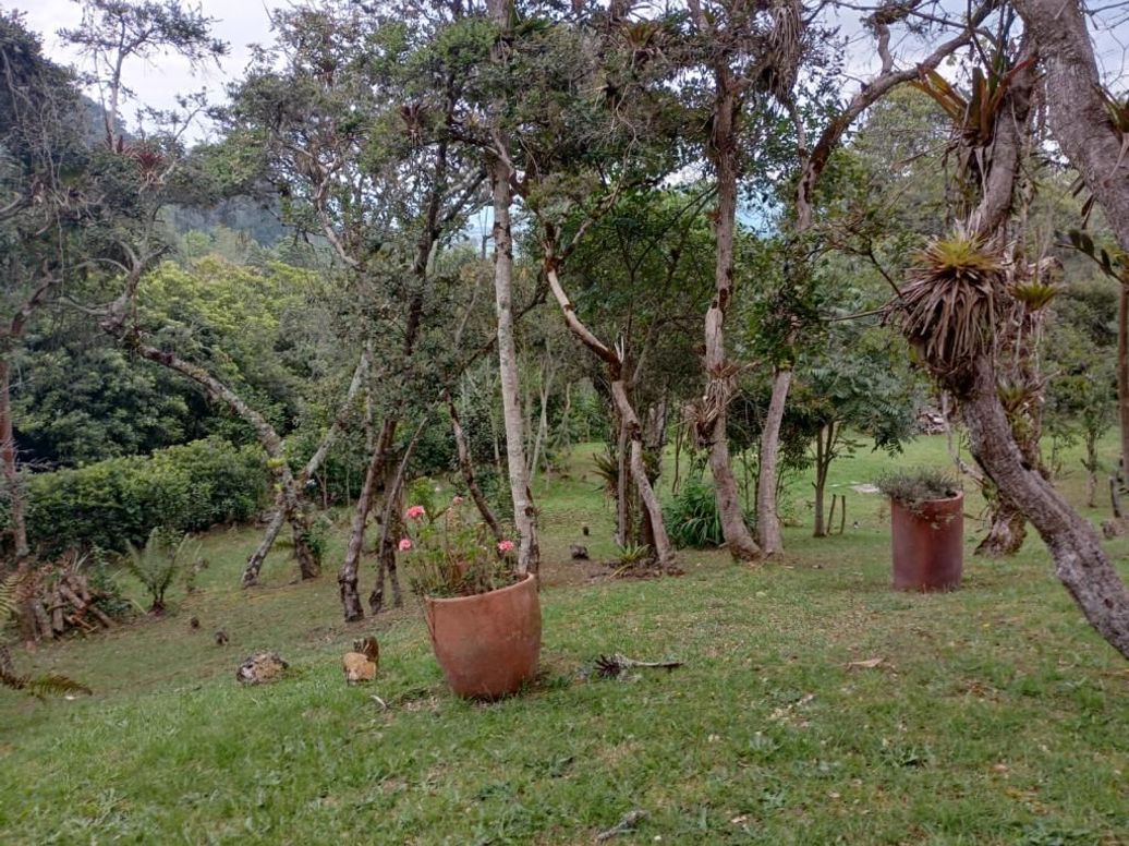 Casa de 4 alcobas en venta en Julio Flórez, Bogotá, 436 m² · foto 17 de 19