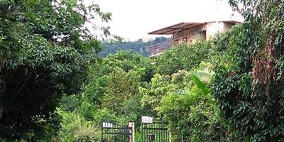 Excelente Finca que cuenta con una casa de 280 mts, con 2 habitaciones, 1 baño, sala comedor, cocina,  tiene un área  de lote  de 10.700 mts,   con cultivos de arboles frutales como mango, naranja, cacao. .  Opción de permuta por casa o lote  de menor valor en Chia o Bogota.