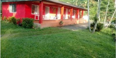 Venta de Finca en Chinchina iluminada y amplia cuenta 4 alcobas, 2 baños, sala, comedor, cocina sencilla, zona de  ropas, patio, piso en general en Baldosa y zonas verdes. Area lote 8.6 Hectareas

Cuenta con sembrado de café, con una produccion de 120 cargas de Cafe seco en cosecha,  cítricos, plátano, bananos, galpón para 500 gallinas, entrada con huella pero debe ser carro con doble, la casa cuenta con: 
1 Nivel: cocina amplia, 2 cuartos, baño grande
2 nivel: 2 cuartos y otro grande para trabajadores, en la parte de afuera un lavadero techado y Fogón de leña


Tiene acueducto veredal y 1 nacimiento,  palos de café nuevo 6000
Tiene una altitud de 1.600 msnm. (requiere vehiculo 4x4 un tramo corto.)
