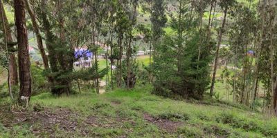 Espectacular lote de uso agrícola, turístico o para proyectos de construcción , con terreno semi montañoso con pendiente del 10%. Se encuentra en sector con viviendas campestres en Jenesano.