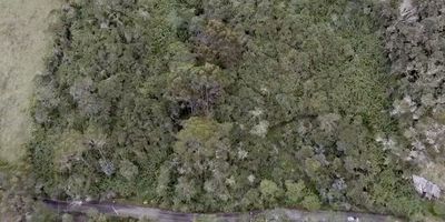 Codigo 17321. Se vende un lote de 11,627 m² en la exclusiva zona de Yerbabuena Alta, específicamente en el sector conocido como La Montaña del Oso. Este terreno ofrece una excelente oportunidad de inversión, con un coeficiente de construcción del 10%, lo que permite desarrollar hasta 1,162.7 m² de construcción. La propiedad se encuentra en un entorno natural privilegiado, rodeado de vegetación y con impresionantes vistas panorámicas. Es ideal para quienes buscan un lugar tranquilo y exclusivo para construir una casa de campo, una finca o un proyecto ecológico. Además, su ubicación garantiza privacidad y un ambiente sereno, perfecto para desconectar del bullicio de la ciudad.No pierda la oportunidad de adquirir este magnífico lote en una de las zonas más deseadas y en crecimiento de la región. ¡Contáctenos para más detalles y para programar una visita!