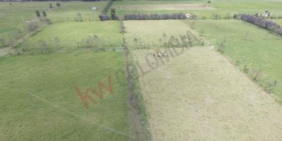 Codigo 6151. VENDO FINCA PRODUCTIVA GRAN OPORTUNIDAD Km 5 VIA MADRID EL ROSAL.LOTE INSTITUCIONAL DE 19.5 FANEGADAS EXTENDIBLE A 90 FANEGADAS.DOS POZOS 1 LITRO DE AGUA POR SEGUNDOIDEAL PARA DESARROLLO AGRICOLA, GANADERO O FLORICULTOR.