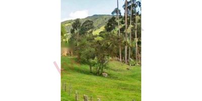 Codigo 6655. LOTE LA CALERA VEREDA EL TRIUNFODiagonal a la hacienda Márquez excelente sector con vista al valle de sopo. Lote de 2.573 m2 se entrega con punto de agua del acueducto veredal. Uso vivienda campestre y comercial.10 kilómetros del pueblo y muy cerca de la Hacienda Márquez. Vista al Valle de Sopó. A una altura de 2700mts. En urbanización compuesta por 7 lotes adicionales. Se puede construir casa de   alto. Servicio de acueducto. Tanque de agua. Transformador de luz. Buena vía de acceso.300 millones